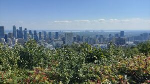 View of Montreal from Mount Royal Park