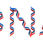DNA image