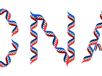 DNA Determines Your Response to Medications: The Role of Pharmacogenetics