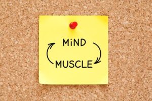 muscle-brain connection